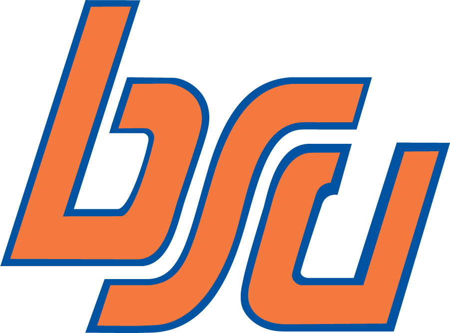 Boise State Broncos 1974-2002 Alternate Logo iron on transfers for T-shirts